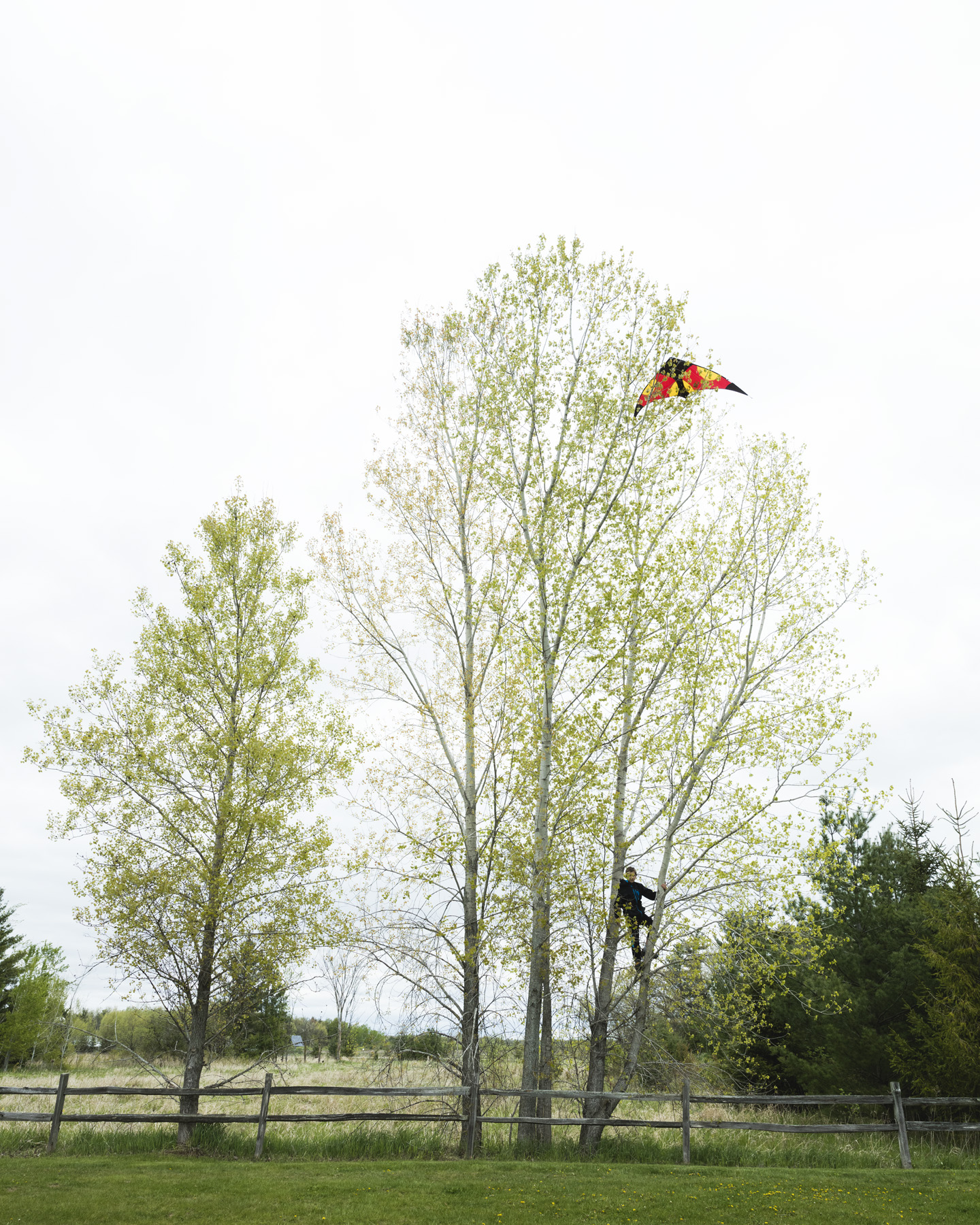 Appleton_2016_05_3805