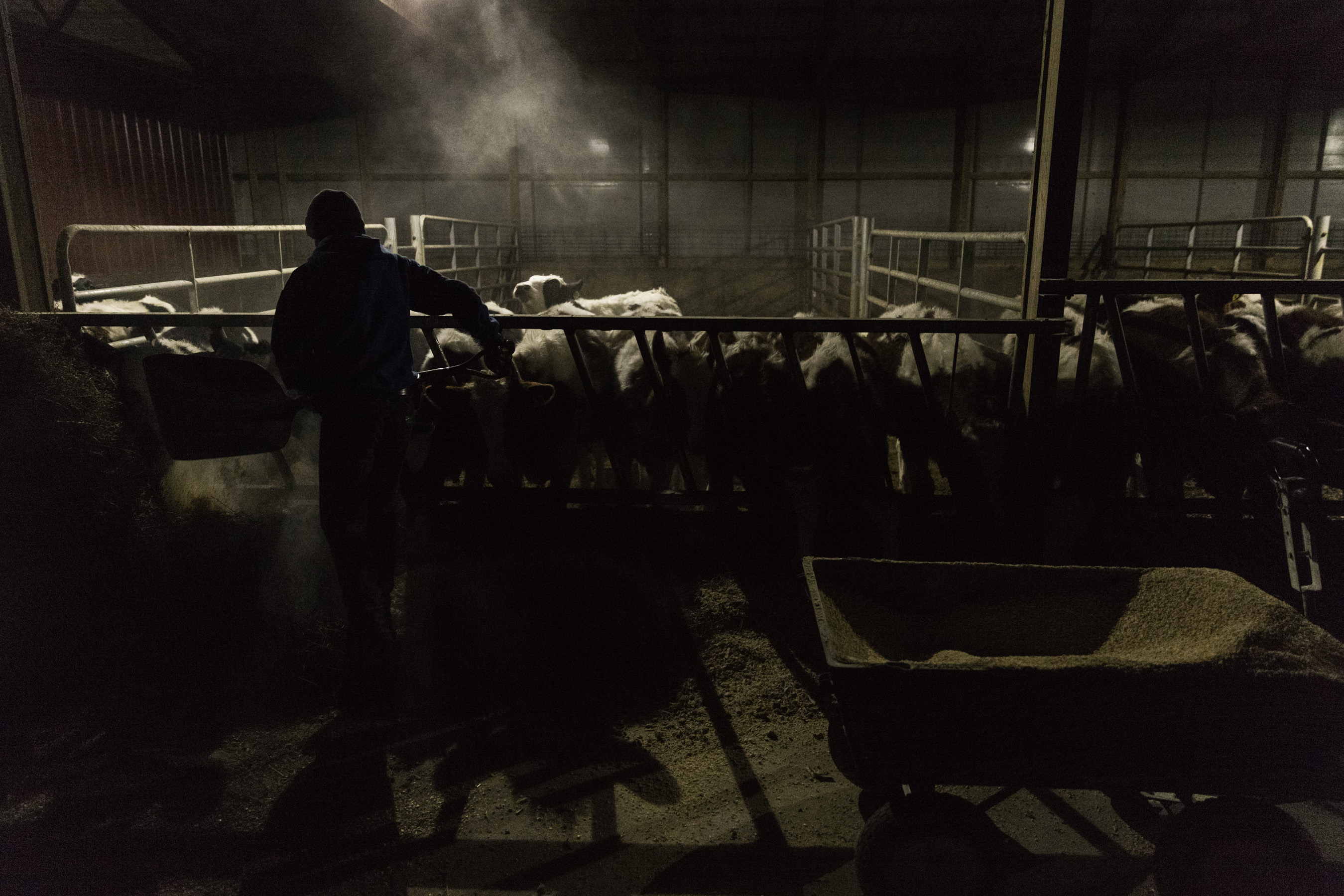 Appleton_2016_11_3952