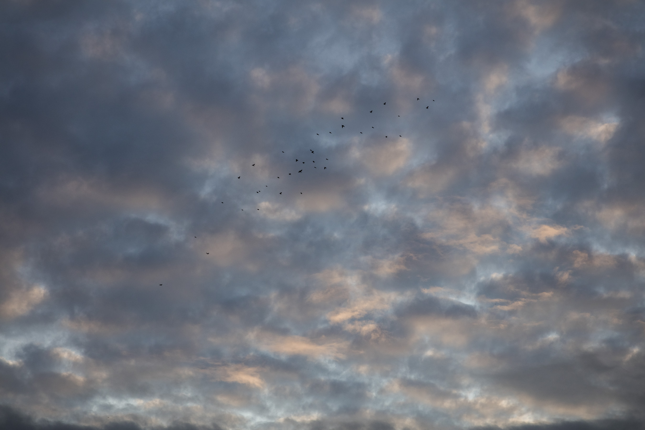 Appleton_2017_09_6300